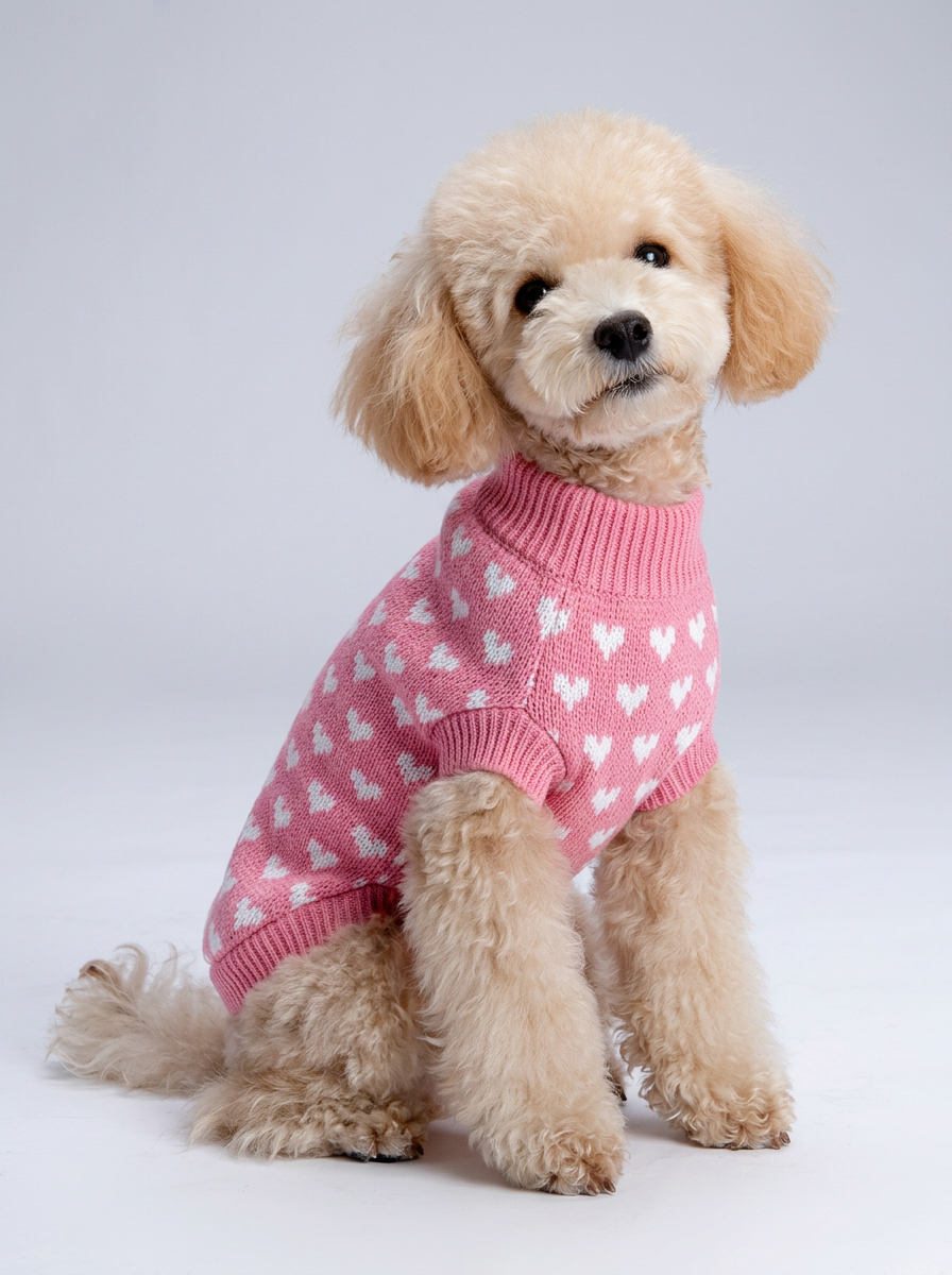 Female Dog Clothes Heart Pattern | Knit Sweater